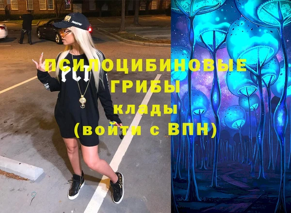 мяу мяу мука Вяземский