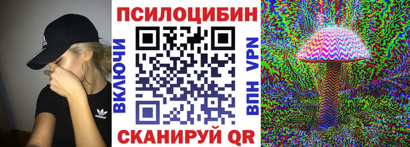 Купить где  Арзамас  Псилоцибиновые грибы GOLDEN TEACHER 